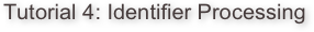 Tutorial 4: Identifier Processing